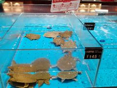 -艳阳天·非遗楚菜(武汉客厅店)