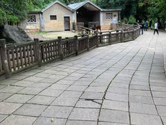 -昆明动物园