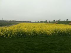 android_upload_pic-上海都市菜园