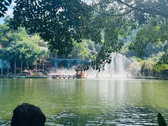 -西双版纳原始森林公园