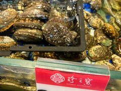 -寻味顺德·珍之宝酒楼(银钻店)