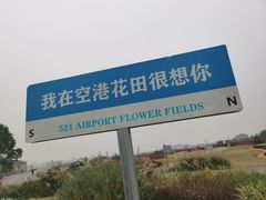 -空港花田景区