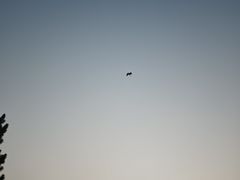 -苏州湾体育公园