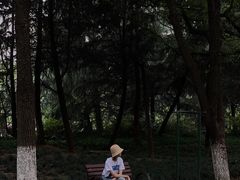 -月湖风景区