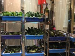 大堂-小龙酒家(桂平路店)