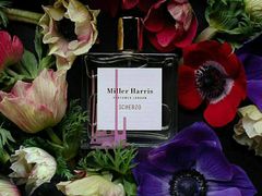 -金陵之星大酒店·中餐厅