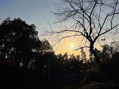 -火炉山森林公园
