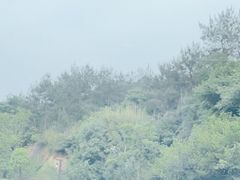 -天目湖涵田半山温泉水乐园