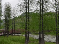 -广州市石门国家森林公园