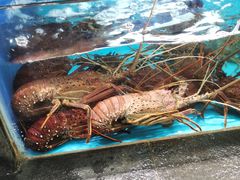-徐记海鲜(明德门店)