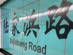 -陆家浜路(地铁站)