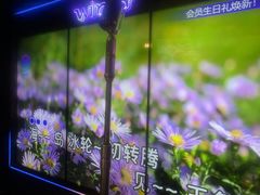 -温莎KTV(珠江路店)