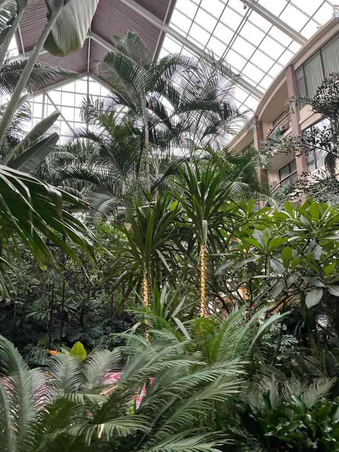 盘锦生态酒店-"过年时带家人一起聚餐,环境一流没的说,饭.