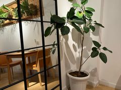 -1861意大利餐厅(来福士店)