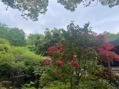 -苏州上方山国家森林公园