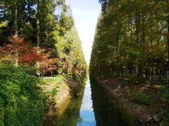 -东平国家森林公园