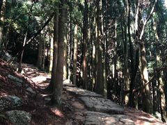 -井冈山风景名胜区-黄洋界