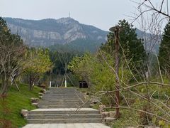 -佛慧山