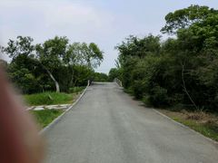 -梁鸿国家湿地公园