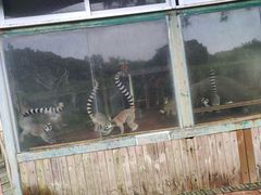 -泉州海丝野生动物世界