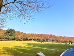 -宜兴龙背山森林公园