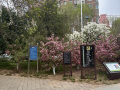 -元大都城垣遗址公园