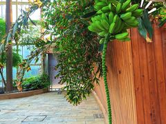 -龙达温泉生态城