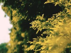 -白鹭湾湿地公园