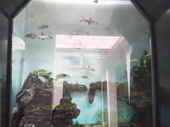 -成都动物园