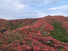 -大围山国家森林公园