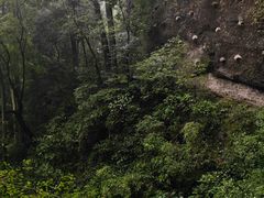 -青城山