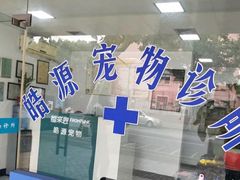 -艾吉宠物医院·疑难杂症转诊中心·猫友好(碧江路院)
