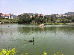 -厦门大学(思明校区)