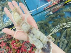 -明记海鲜大排档(巽寮湾店)