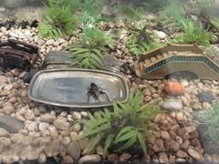 -上海昆虫博物馆