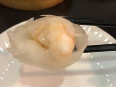 添运来虾饺皇-添运来(茶园奥园广场店)