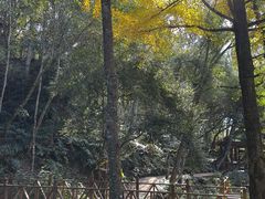 -和顺柏联温泉