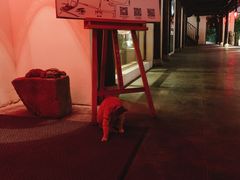 -南京夜泊秦淮君亭酒店·金陵书画院