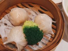 -新雅粤菜馆(南京东路店)