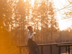 -黄海国家森林公园