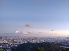 -长虫山生态公园风景林