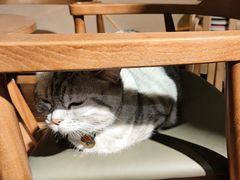 -H立方实景剧情密室(天河旗舰店)