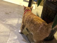 -渔太泰漓江小馆·广西融合菜(西街店)