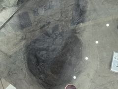 -延庆地质公园博物馆