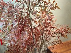 -567·密室逃脱(大良店)