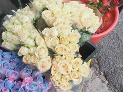 -循礼门鲜花花市(武汉循礼门店)