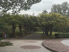 -嘉定紫藤园