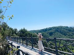-千岛湖天屿景区