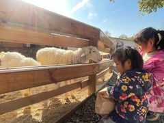 -HERRE·FARM 赫尔露营农场·团建聚会包场