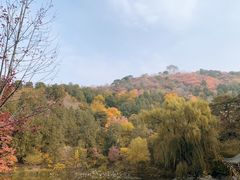 -香山公园